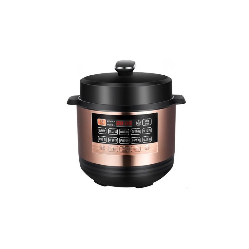 Electric Pressure Cooker